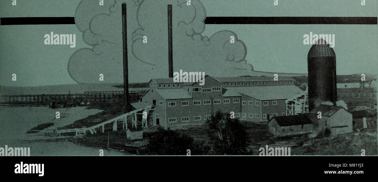 Die Veröffentlichung „Canadian Forest Industries“ für Januar-Juni 1923 behandelt den Zustand der Forstindustrie in Kanada. Er umfasst Daten zur Holzproduktion, zur Forstwirtschaft und zur wachsenden Nachfrage nach kanadischen Holzprodukten auf den globalen Märkten. Stockfoto