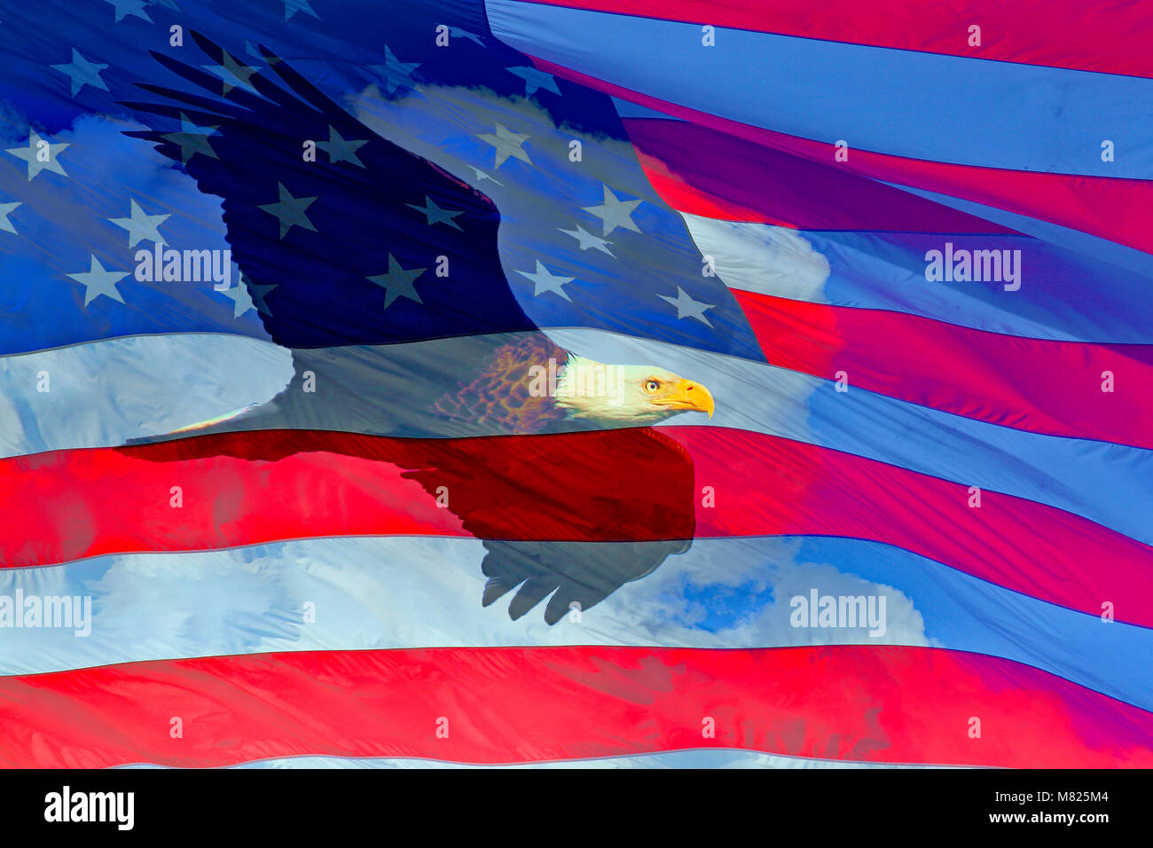 Weißkopfseeadler im Flug und die Flagge der Vereinigten Staaten von Amerika composite über Wolken Stockfoto