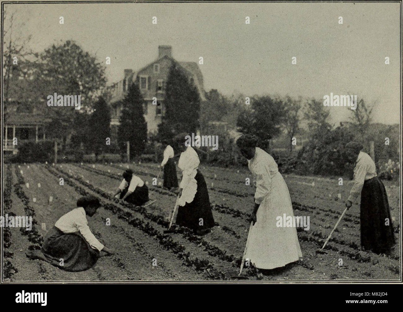 Katalog der Hampton Normal und Institut für Landwirtschaft, in Hampton, Virginia, für das akademische Jahr (1910) (14776441591) Stockfoto