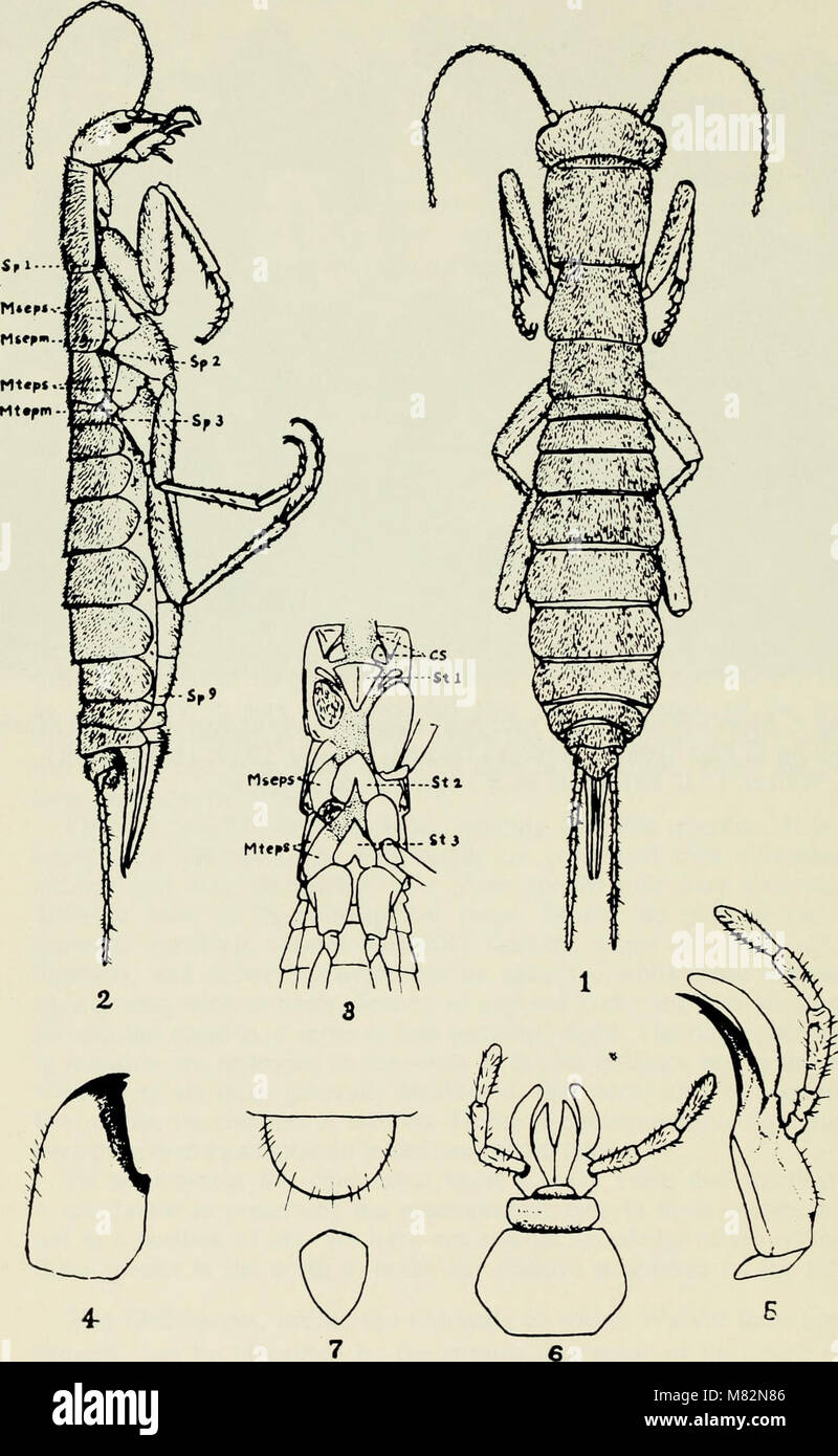 Hundertjährige der Entomologie in Kanada, 1863-1963 - ein Tribut an Edmund M. Walker (1966) (20561547876) Stockfoto