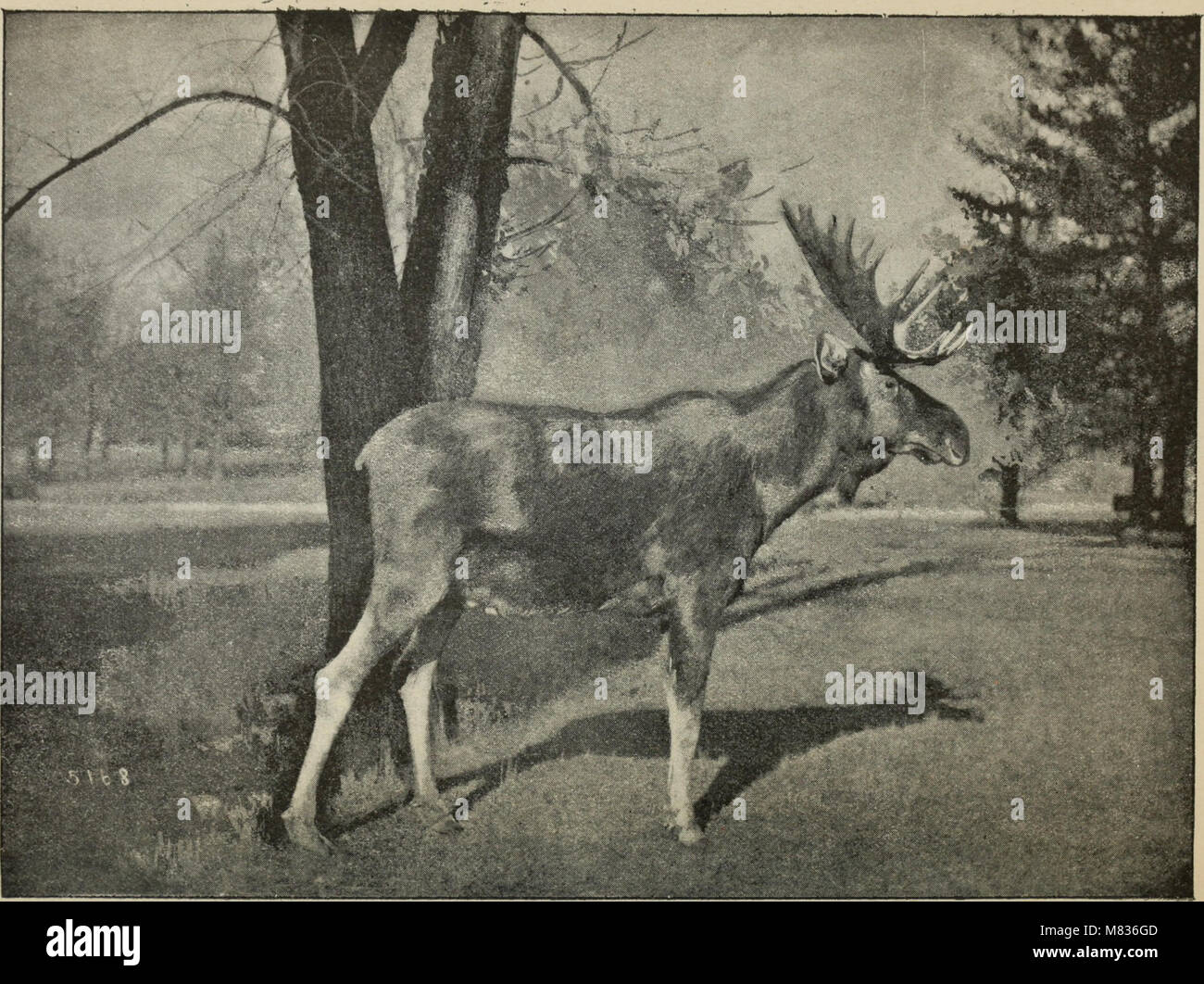 Der Bericht der Kommissionsmitglieder aus dem Jahr 1892 enthält einen Überblick über die Tätigkeiten der Regierung oder der Organisation, wobei der Schwerpunkt auf Untersuchungen, Feststellungen und Empfehlungen liegt. Er fasst die Schlussfolgerungen und Maßnahmen zusammen, die als Reaktion auf Anfragen und Probleme der Zeit ergriffen wurden. Stockfoto