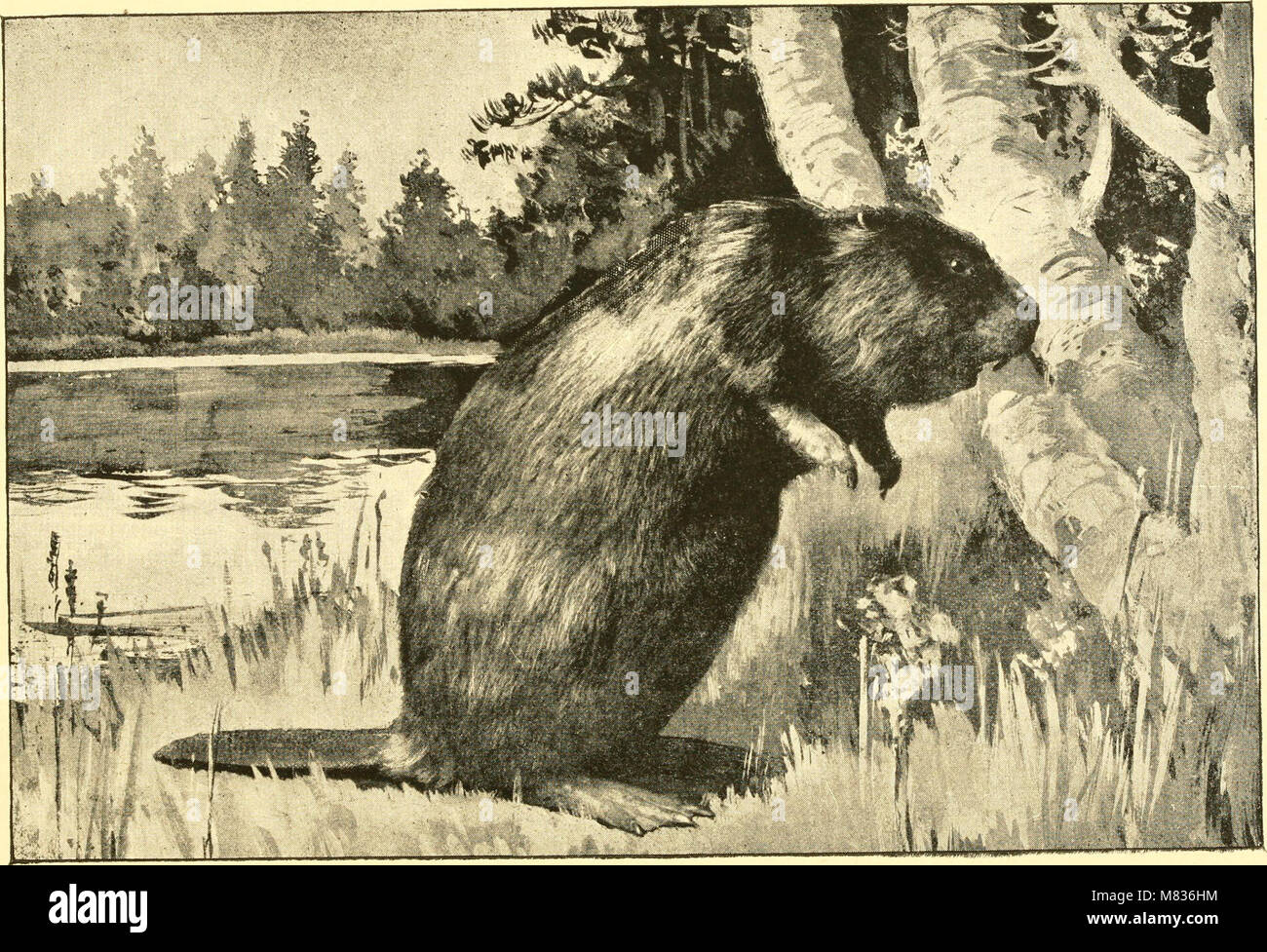 Der Bericht der Kommissionsmitglieder (1892) enthält einen offiziellen Überblick über die Verfahren und die Ergebnisse einer regierungskommission, wobei der Schwerpunkt auf Fragen der öffentlichen Ordnung, der Governance und der Gesellschaft in diesem Zeitraum liegt. Stockfoto