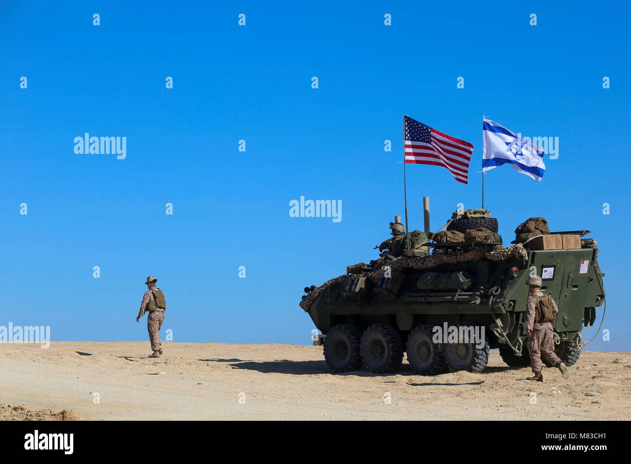 NATIONAL TRAINING CENTER, Israel (11. März 2018) US Marine Corps leicht gepanzerten Fahrzeug (LAV) von Bataillon Landung Team, 2.BATAILLON, 6 Marine Regiment (BLT 2/6), 26 Marine Expeditionary Unit inszeniert vor der Schulung sowie israelische Soldaten als Teil der Übung Juniper Cobra, März 11, 2018. Die 26. MEU beteiligt sich an Juniper Cobra mit der israelischen Armee, um die Interoperabilität zu verbessern und beide Kräfte' Fähigkeiten in einer Vielzahl von Umgebungen zu schärfen. Stockfoto NATIONAL TRAINING CENTER, Israel (11. März 2018) US Marine Corps leicht gepanzerten Fahrzeug (LAV) von Bataillon Landung Team, 2.BATAILLON, 6 Marine Regiment (BLT 2/6), 26 Marine Expeditionary Unit inszeniert vor der Schulung sowie israelische Soldaten als Teil der Übung Juniper Cobra, März 11, 2018. Die 26. MEU beteiligt sich an Juniper Cobra mit der israelischen Armee, um die Interoperabilität zu verbessern und beide Kräfte' Fähigkeiten in einer Vielzahl von Umgebungen zu schärfen. Stockfoto