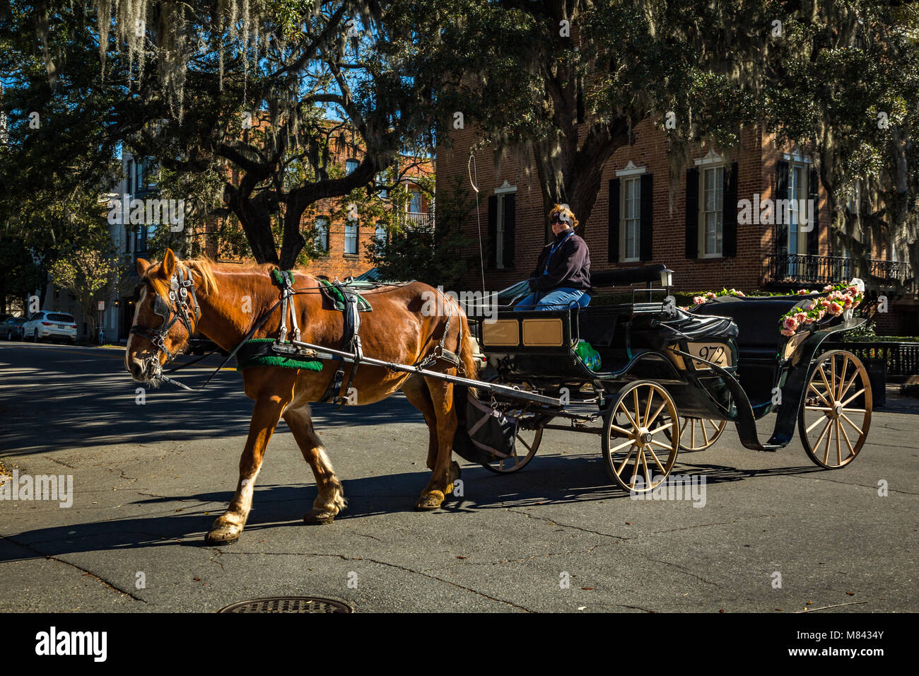 SAVANNAH, Georgia - 3. MÄRZ 2018: eine Pferdekutsche macht seinen Weg durch die Altstadt von Savannah, Georgia Stockfoto
