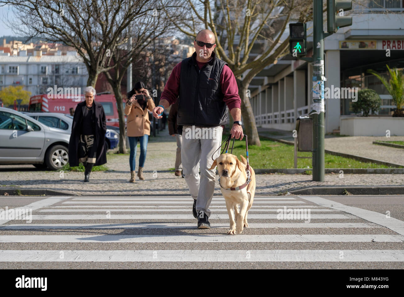 Blinde Person mit Hund Überqueren der Straße auf einem Zebrastreifen Stockfoto