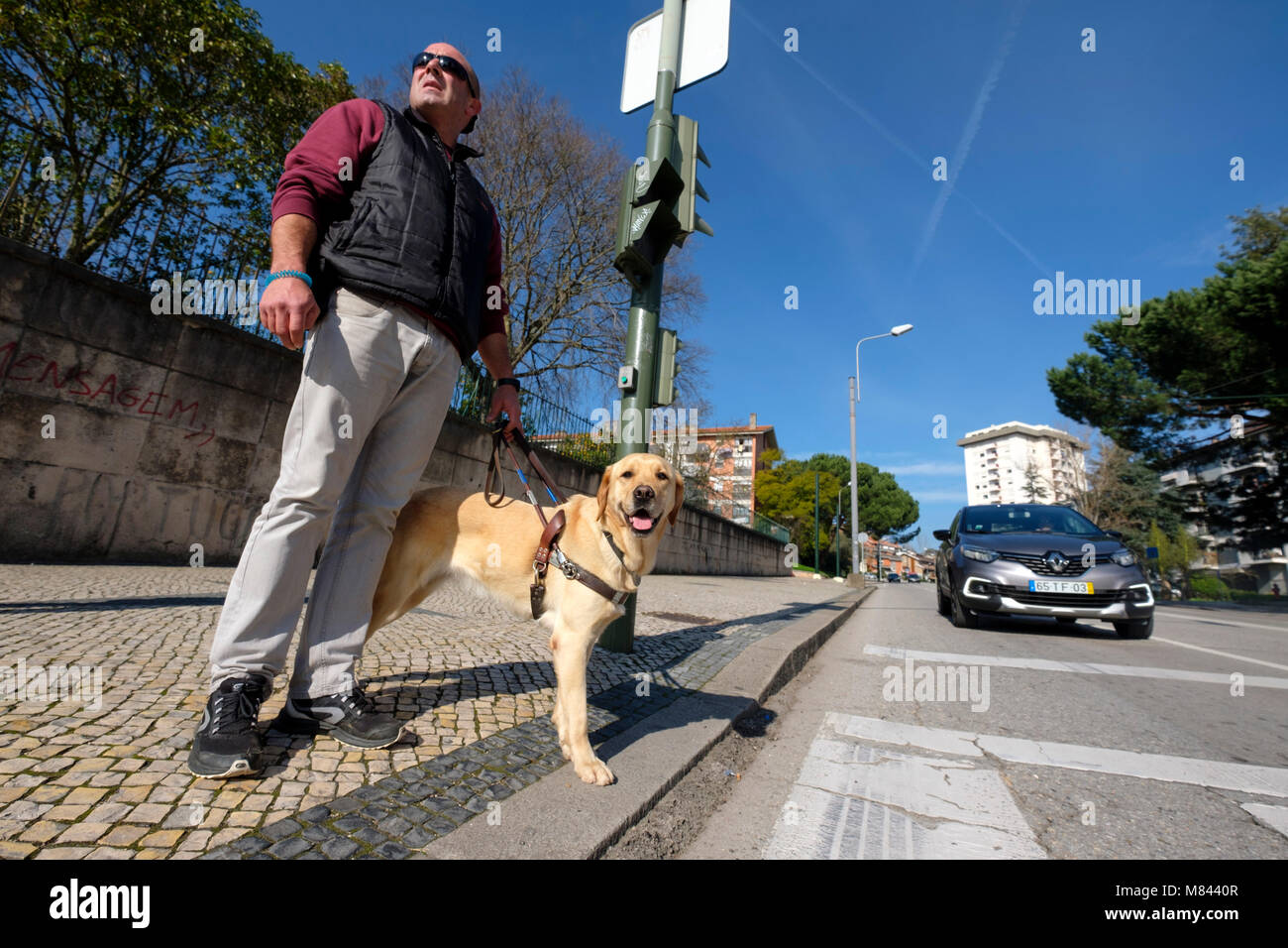 Blinde Person mit Hund warten, die Straße zu überqueren Stockfoto