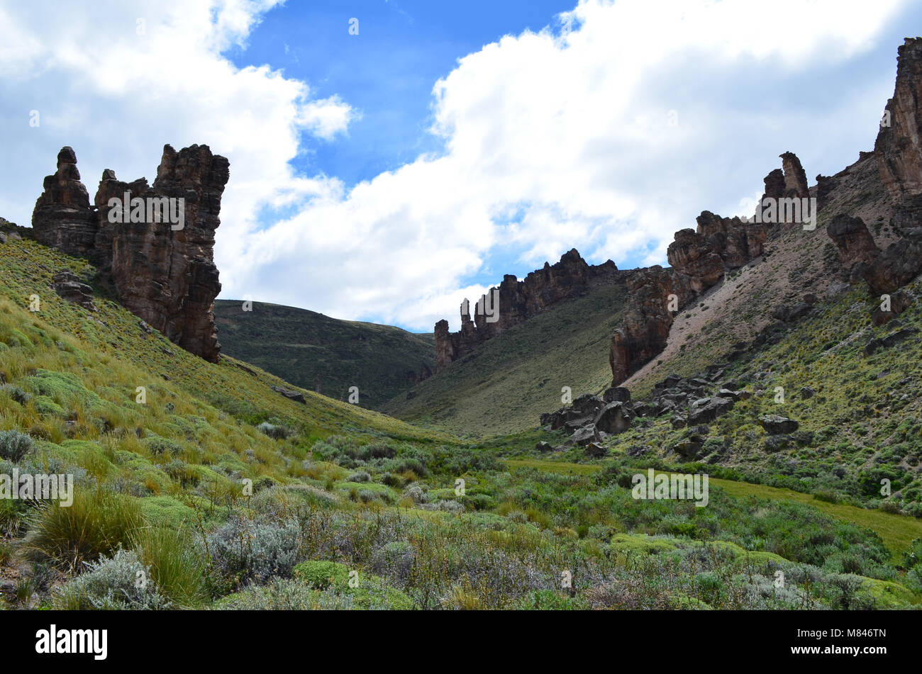 Reserva Nacional Lago Jeinimeni in der Nähe von Lago General Carrera im südlichen Chile Stockfoto