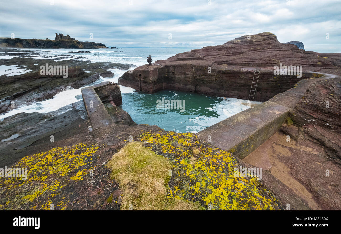 Ausblick auf den kleinen Hafen von Meeresklippe in East Lothian, Schottland, Vereinigtes Königreich Stockfoto