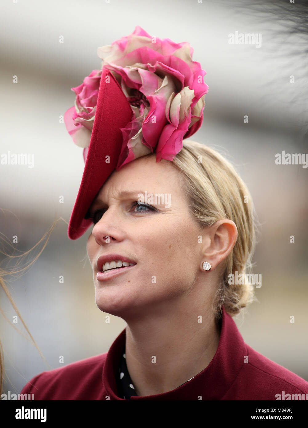 Zara Tindall während des Ladies Day des Cheltenham Festivals 2018 auf der Pferderennbahn Cheltenham. DRÜCKEN SIE VERBANDSFOTO. Bilddatum: Mittwoch, 14. März 2018. Siehe PA Story RACING Cheltenham. Bildnachweis sollte lauten: Steven Paston/PA Wire. Stockfoto