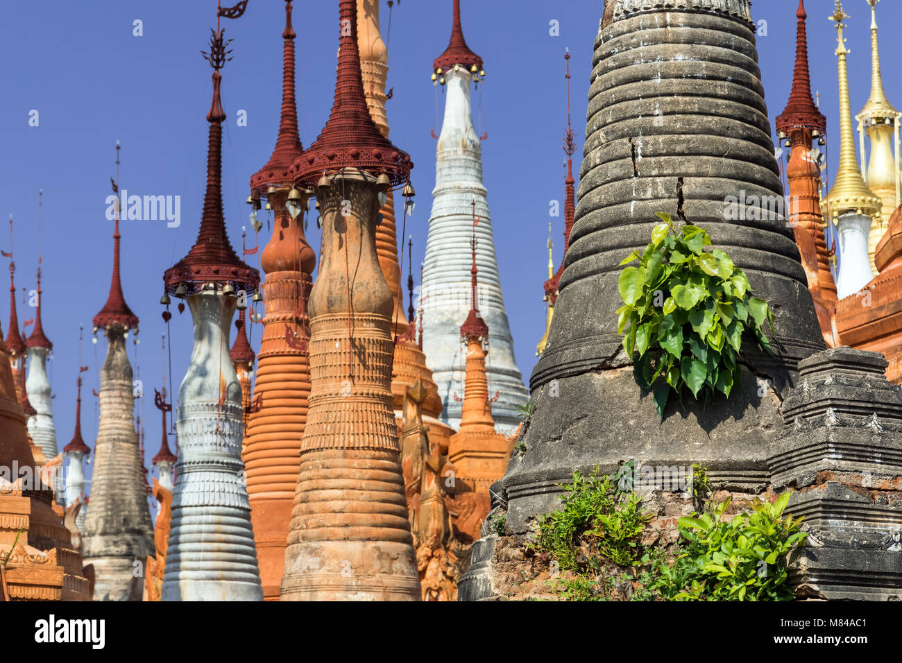 Stupas in Shwe Inn Dein Pagode, in der Nähe der Inle See, Myanmar Stockfoto