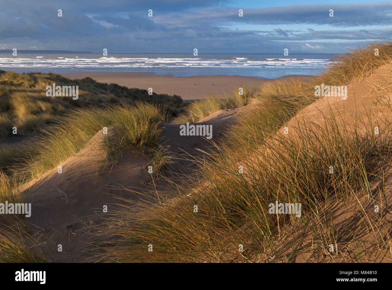 Saunton Sands von den Sanddünen der Braunton Burrows, Devon, England. Im Winter (Januar) 2018. Stockfoto