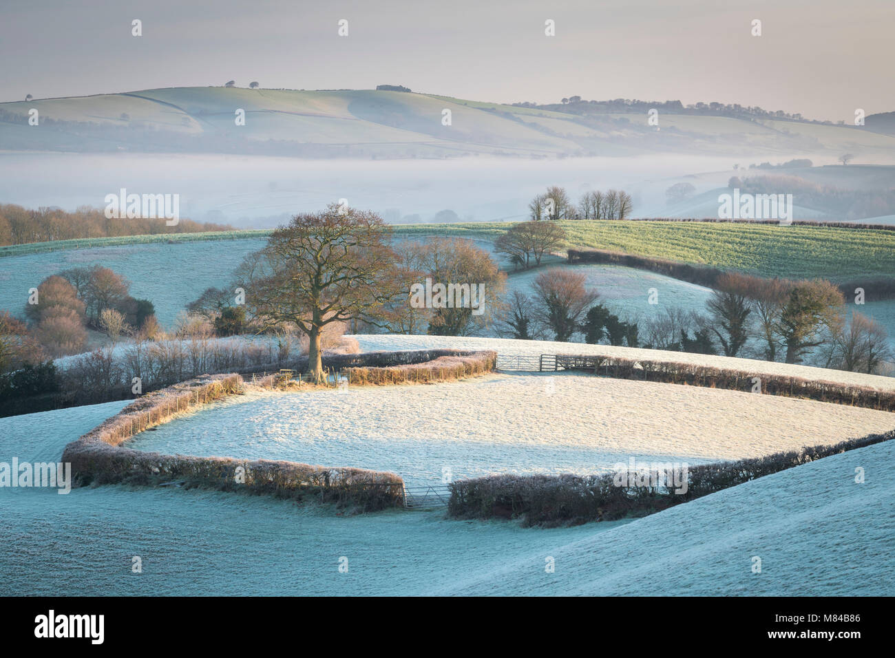 Frost bedeckt Landschaft in der Nähe von Exeter, Devon, England. Im Winter (Januar) 2018. Stockfoto