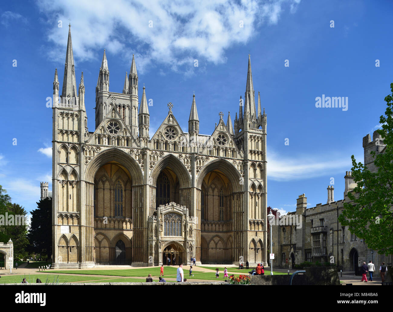 Peterborough Kathedrale, Cambridgeshire, England, UK Stockfoto