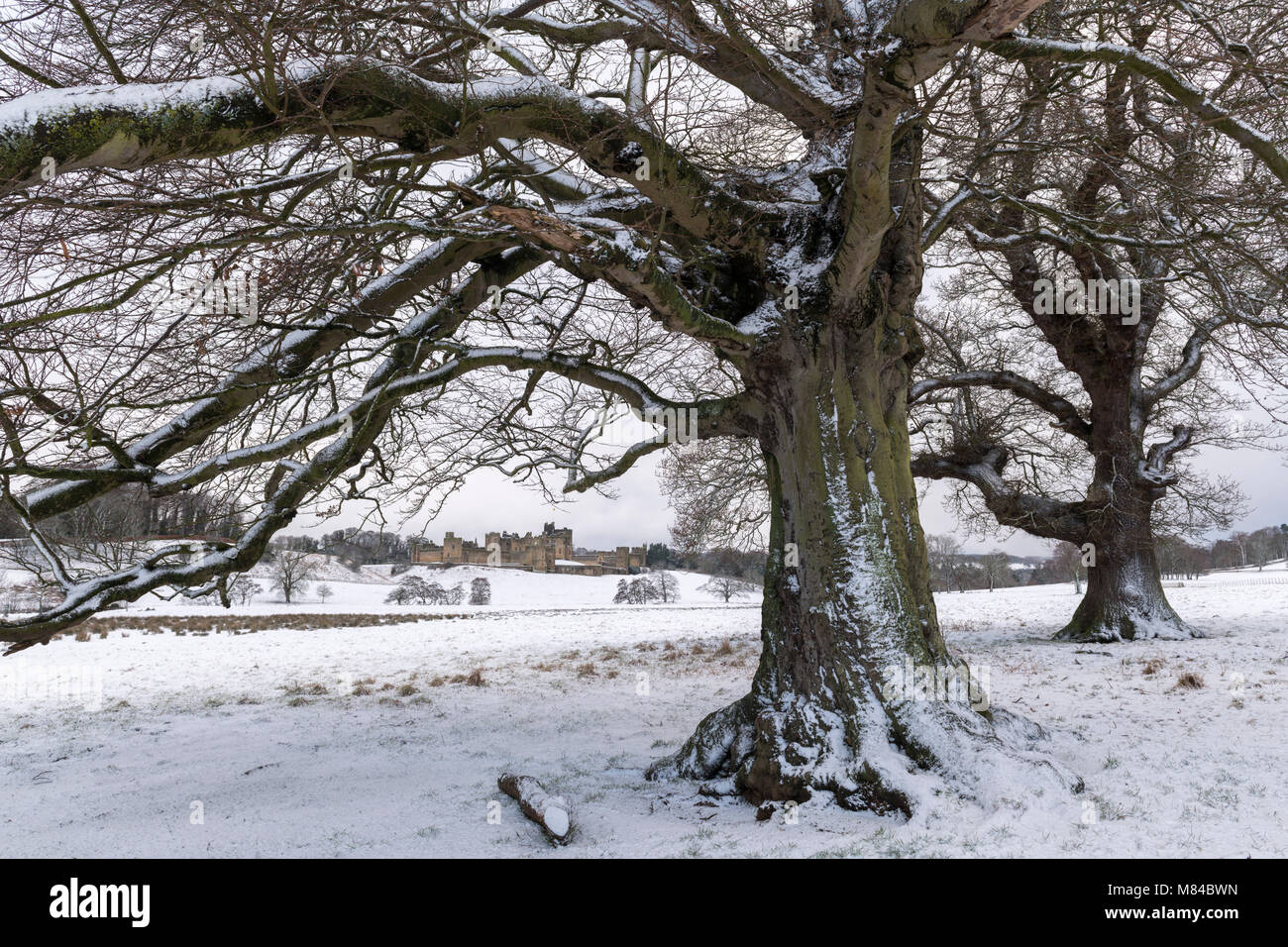 Schneereiche Winter morgen auf dem Gelände der Burg Alnwick, Northumberland, England. Winter (Februar) 2018. Stockfoto