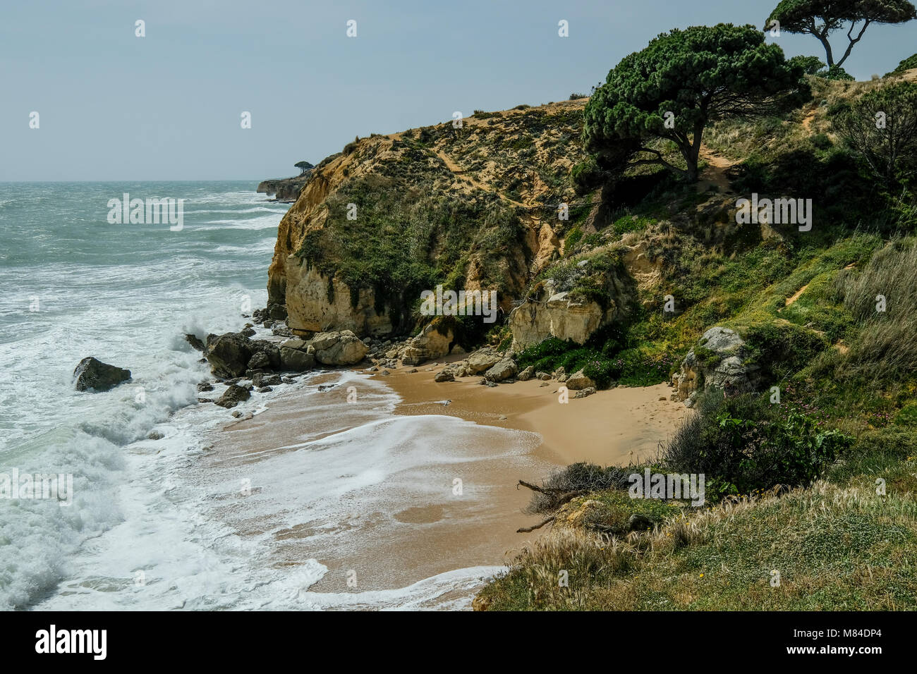 Blick auf die Landschaft mit Felsen und Dünen am Strand in der Nähe von Albufeira Portugal im Sommer mit lokalen Vegetation Blumen und Pflanzen Stockfoto
