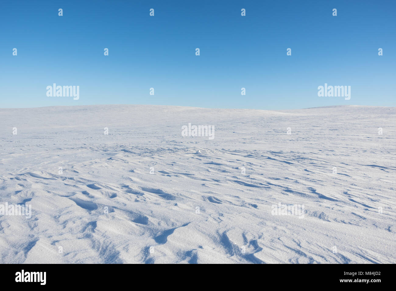 Finnmark. Sonnigen Tag an der flachen Hochebene der Finnmarksvidda in Nordnorwegen. Stockfoto