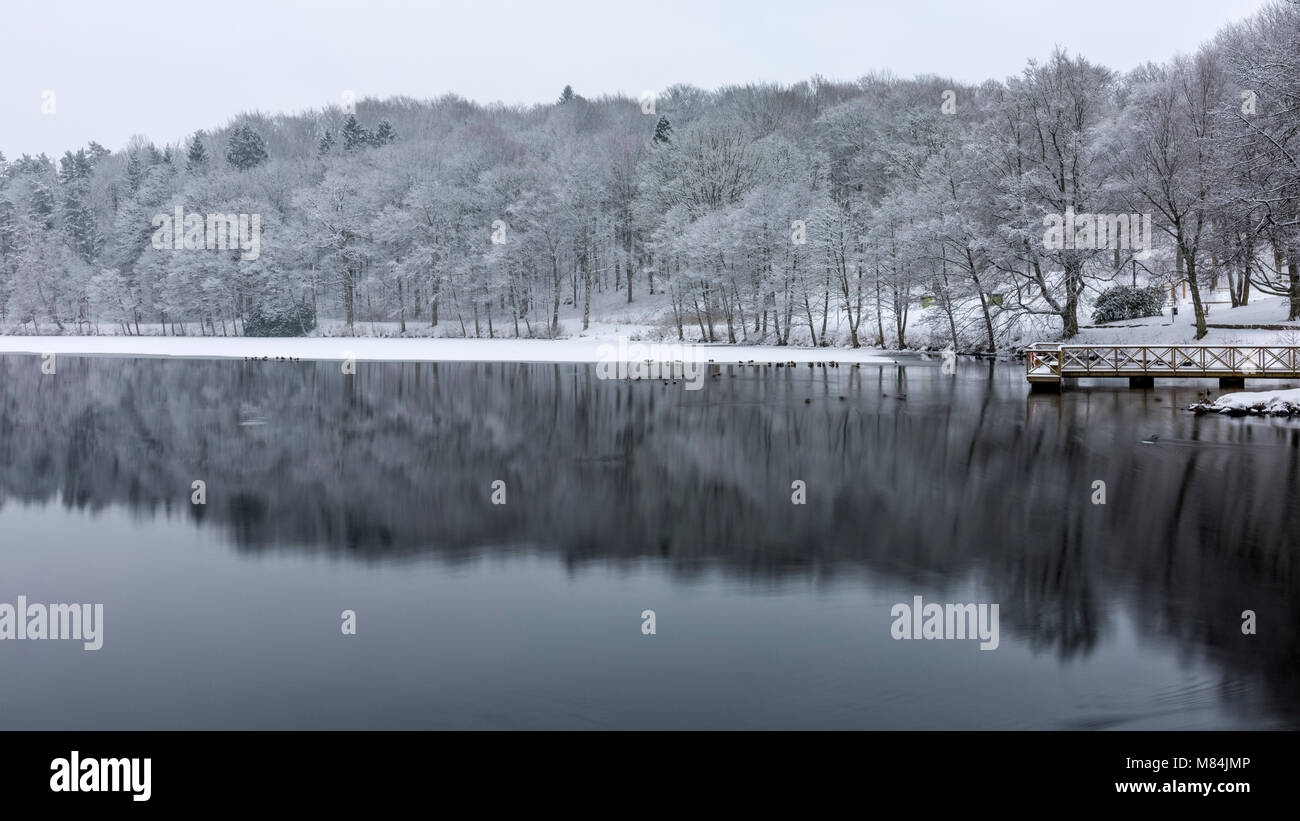 Gefrorene Eis bedeckt See Sävelången im Winter mit vielen Vögeln, vor allem Enten, die am Rand des Eisschildes, Floda, Schweden Model Release: Nein Property Release: Nein. Stockfoto