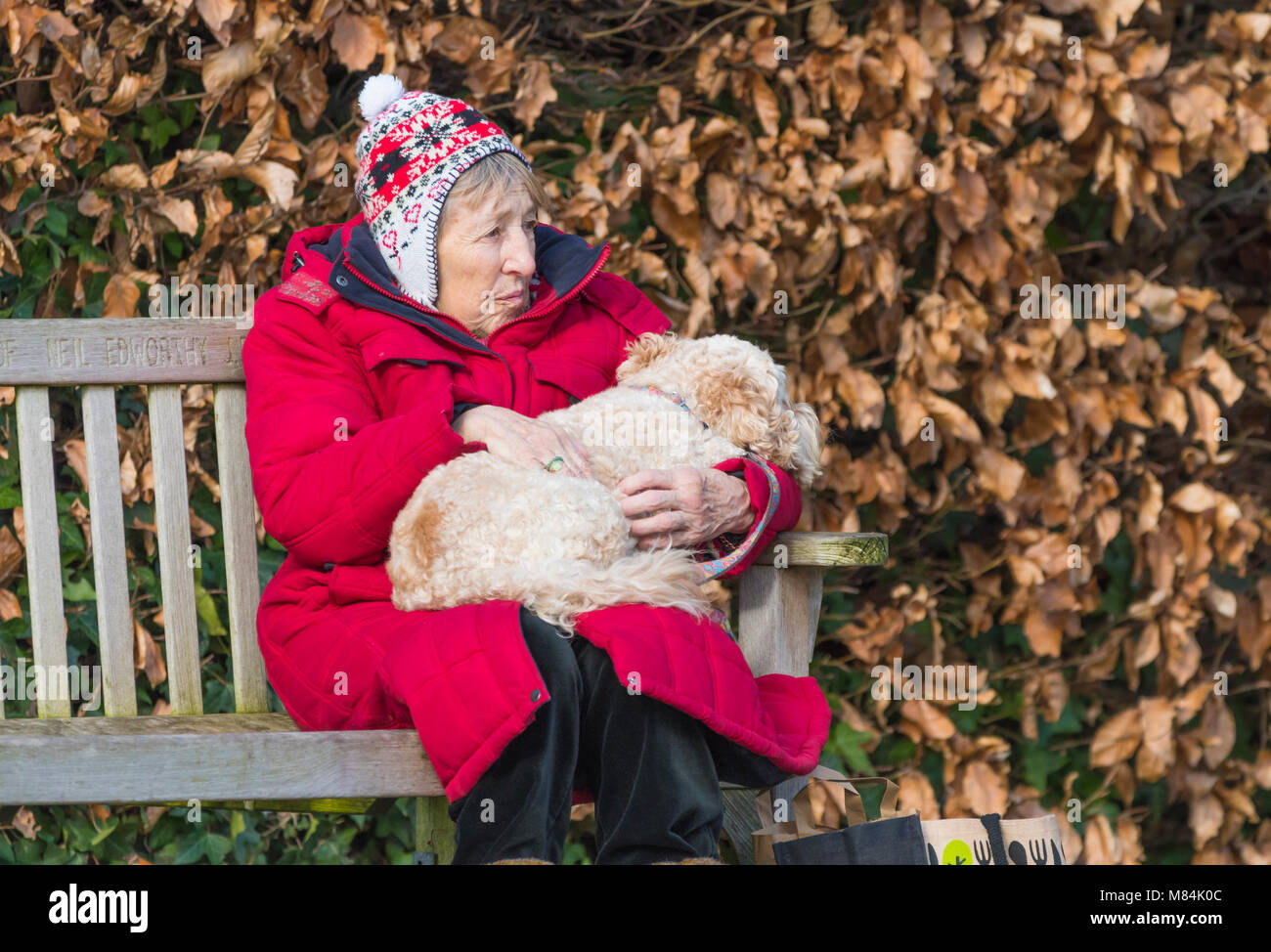 Ältere Frau auf einer Bank sitzen im Winter tragen Winter Kleidung, Kuscheln mit einem Hund auf dem Schoß, in Großbritannien. Stockfoto