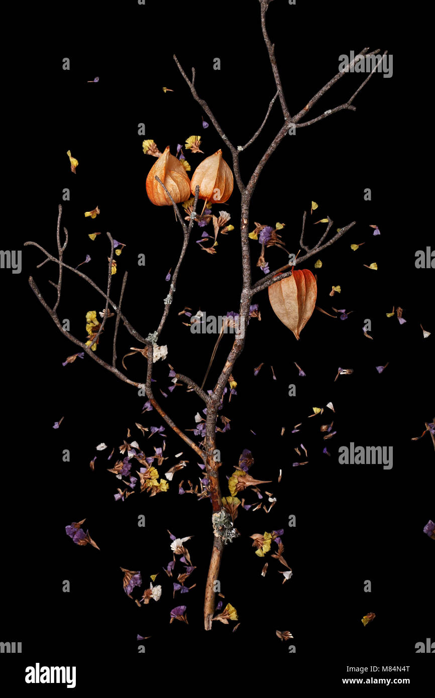 Gelb, Blume, Grafik, hell, mit Blumen, abstrakte, Dekoration, dekorative, Orange, Herbst, Design, Farbe, Muster, Blatt Stockfoto