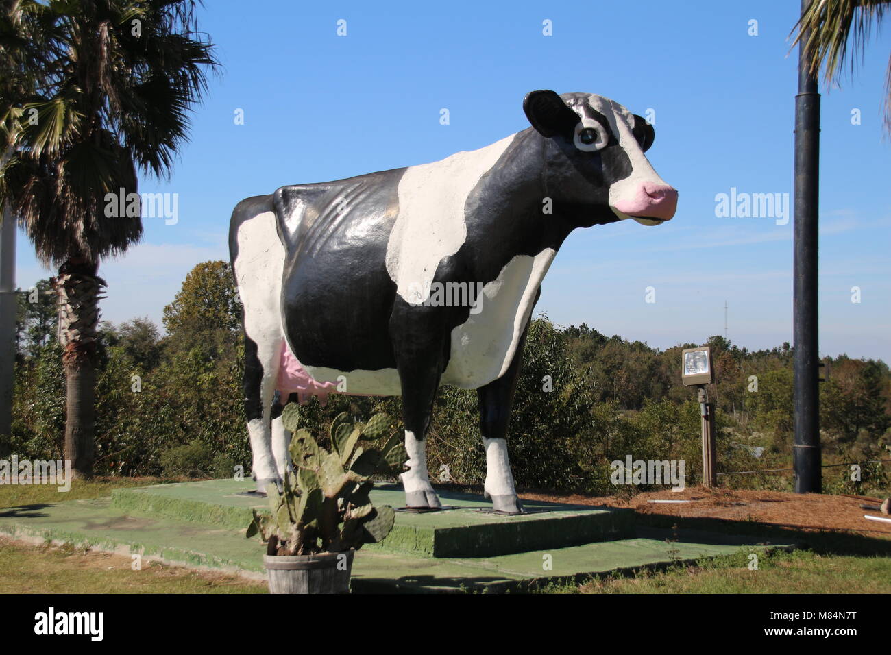 Heilige Kuh. Nun, das ist eine gigantische Holstein Kuh. Stockfoto
