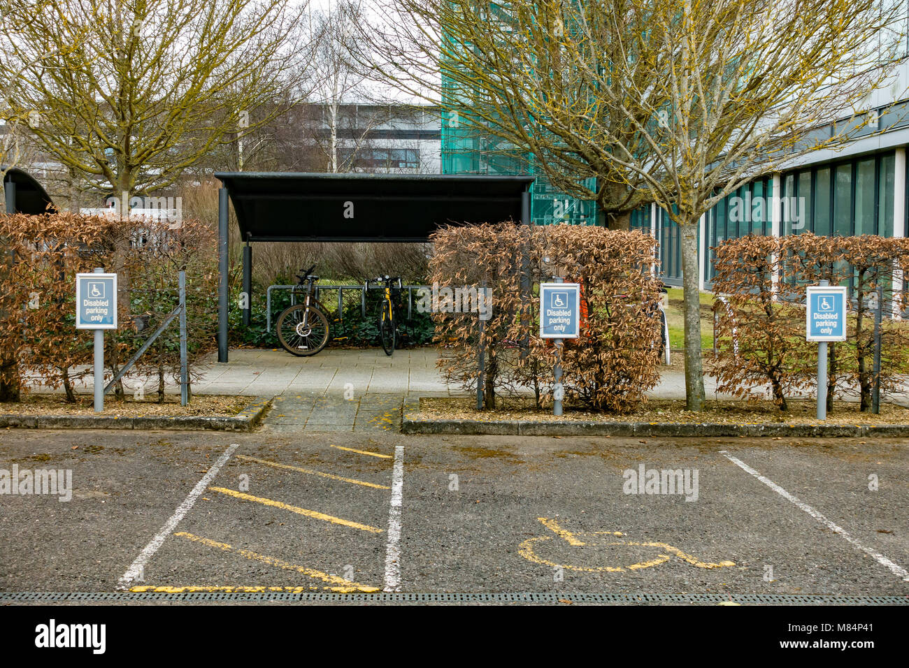 Leere Behindertenparkplätze im Büro Parkplatz. Stockfoto