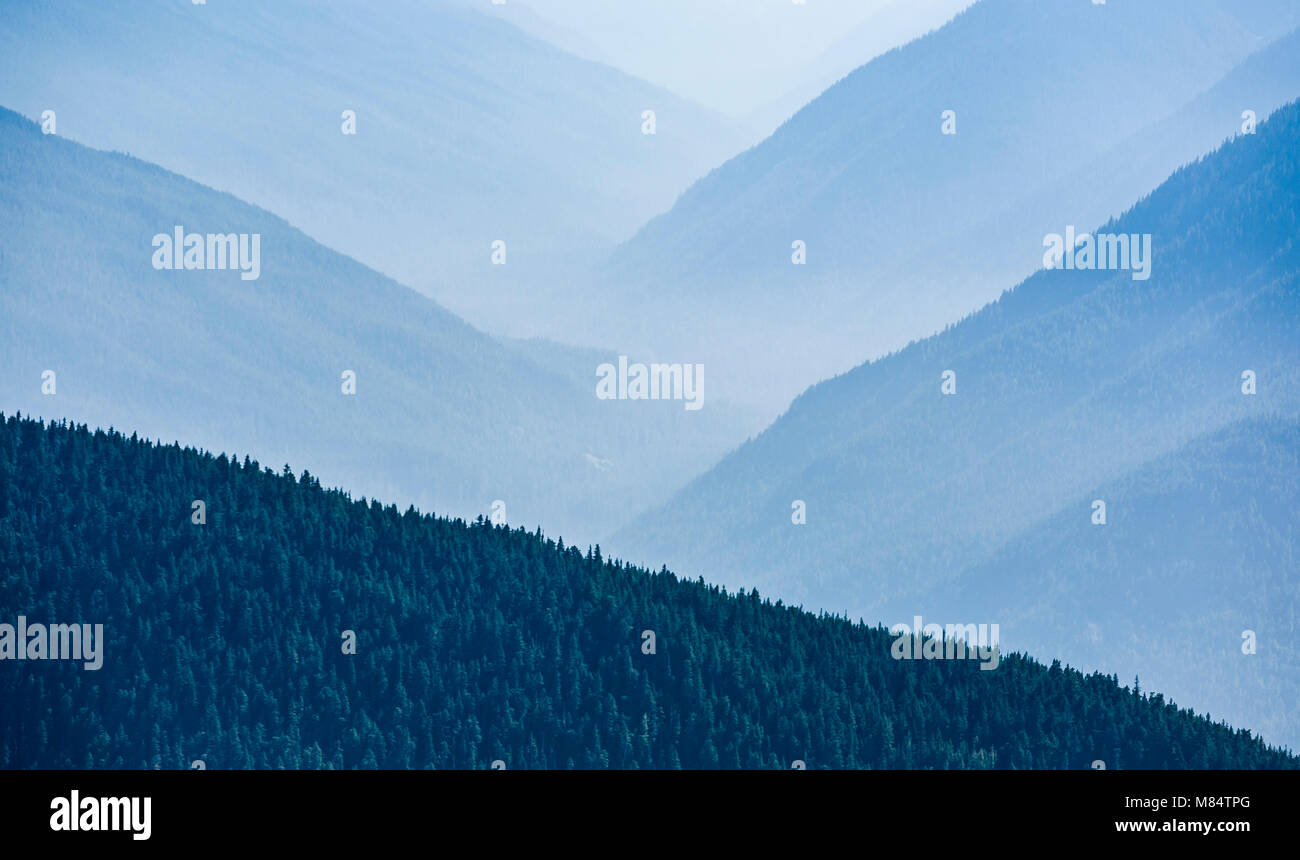 Ein Tal zwischen den Bergen wie von Hurrican Ridge in Olympic National Park, Washington State, USA gesehen im Zickzack. Stockfoto