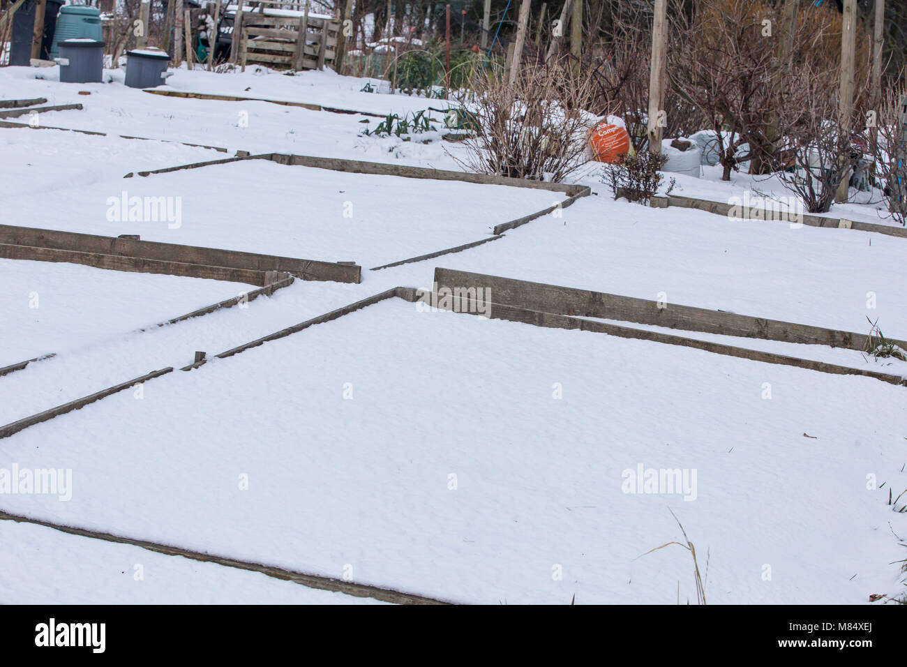 UK traditionelle Zuteilung durch einen kalten Winter, im Schnee mit nichts wächst. Stockfoto