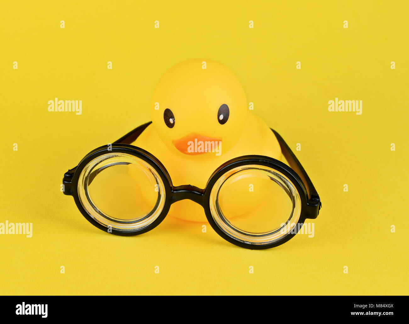 Große gelbe Gummiente und lustige Schutzbrille Stockfoto