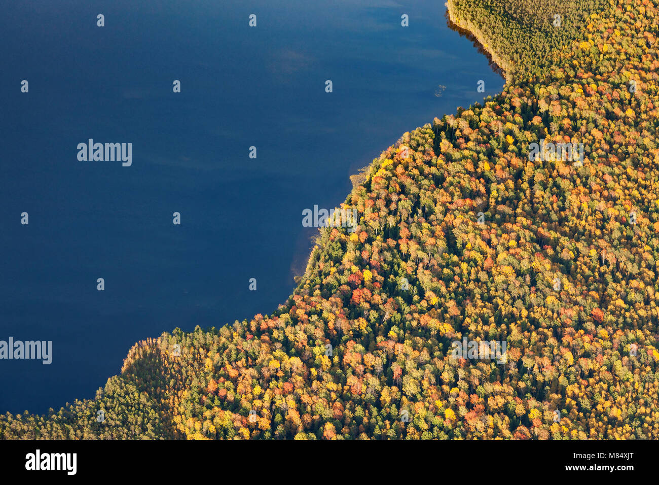 Blick von oben auf die Herbst Wald See Stockfoto