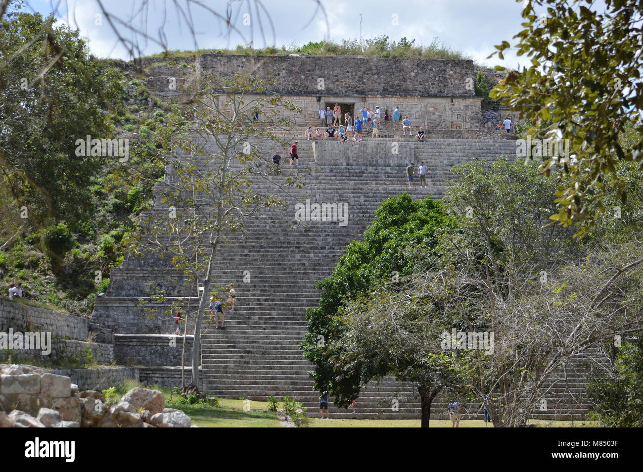 Die Große Pyramide Uxmal, Mexiko Stockfoto