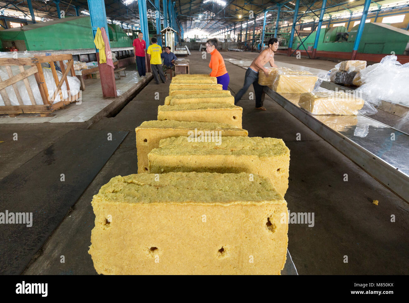 Kautschuk Werks, Kambodscha, Asien - Arbeitnehmerinnen, die Gummi in einer Gummifabrik, Kambodscha, Asien Stockfoto