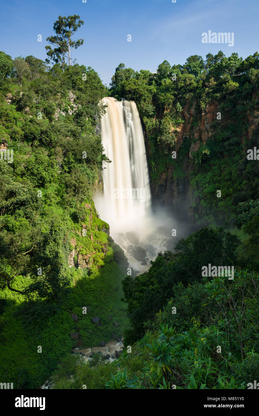 Thomson's fällt Wasserfall in Nyahururu in einer von Bäumen gesäumten Canyon, Kenia, Ostafrika Stockfoto