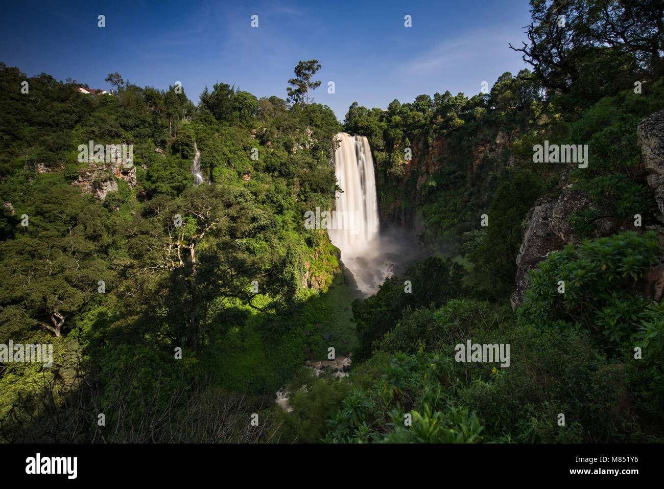 Thomson's fällt Wasserfall in Nyahururu in einer von Bäumen gesäumten Canyon, Kenia, Ostafrika Stockfoto