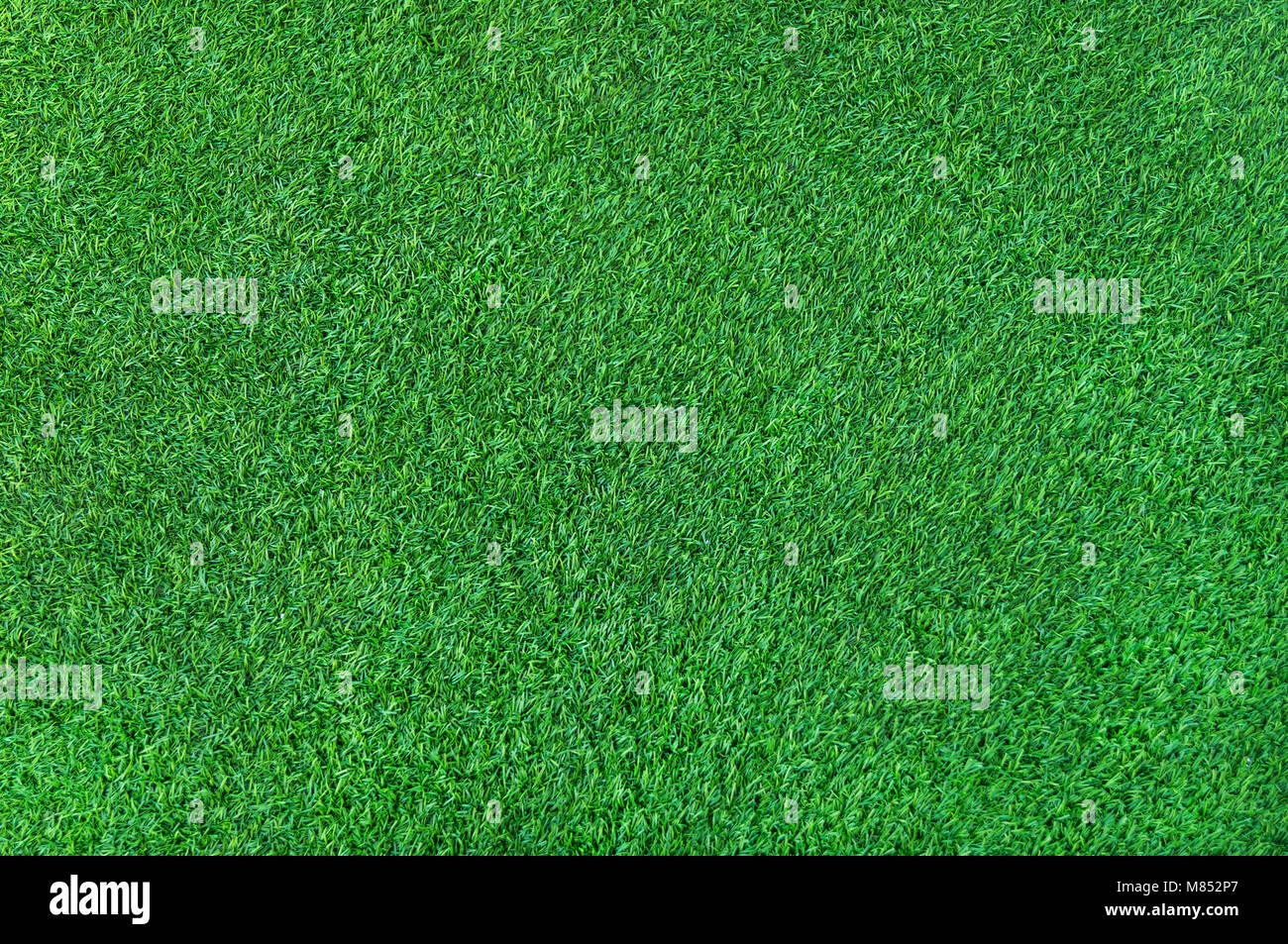 Grüne Gras Hintergrund. Kunstrasen Stockfoto