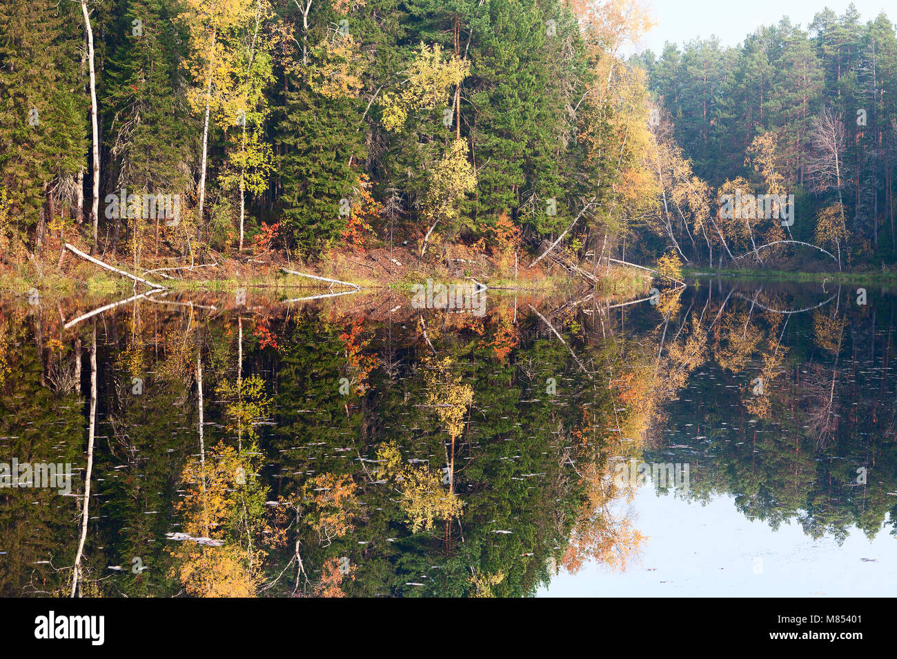 Herbst Wald See Stockfoto