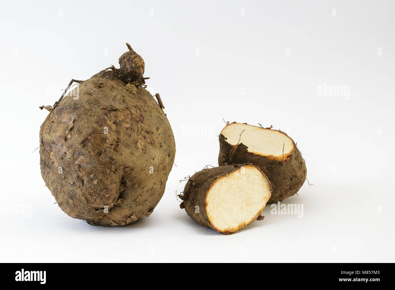 Yam oder Kachil (Dioscorea Alata) auf weißem Hintergrund Stockfoto