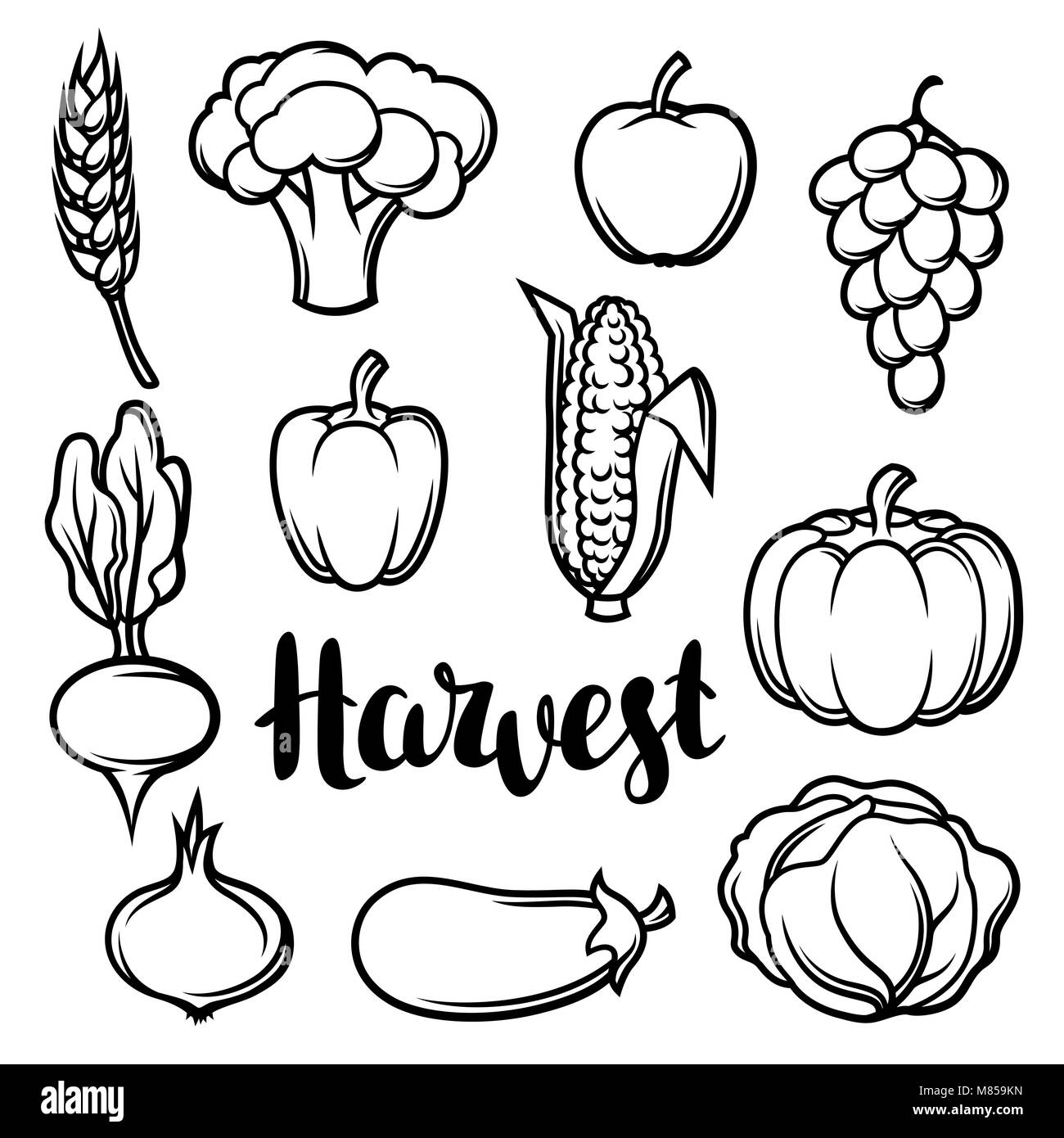 Ernte von Obst und Gemüse. Herbst saisonal Abbildung Stock Vektor