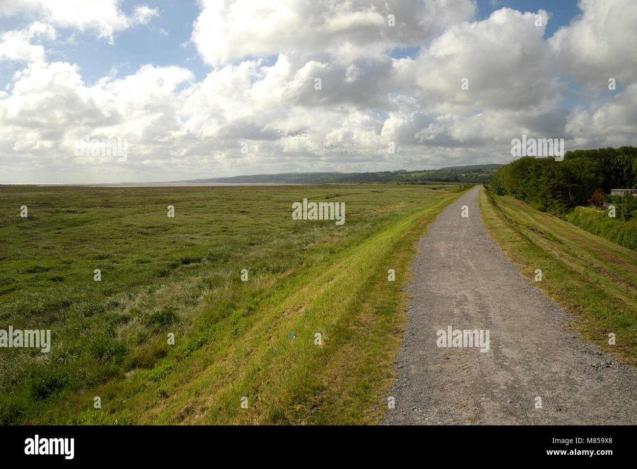 Dee Estuary - Nummer von Ayr Nature Reserve, Parlwr du Stockfoto