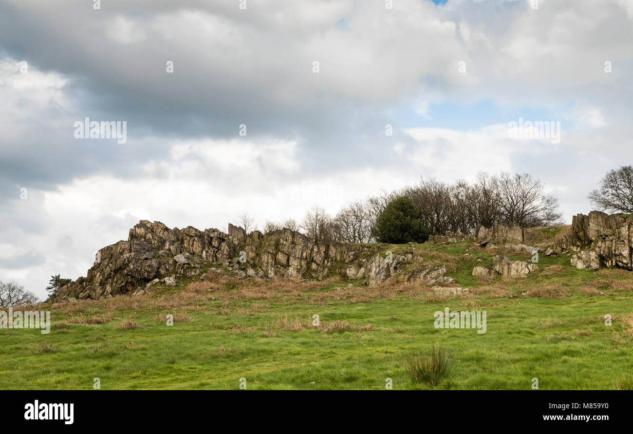 Ein Bild von einem alten Felsen der Felsen 700 Millionen Jahre zurückgehen. Schuß am Beacon Hill Country Park, Leicestershire, England, UK. Stockfoto