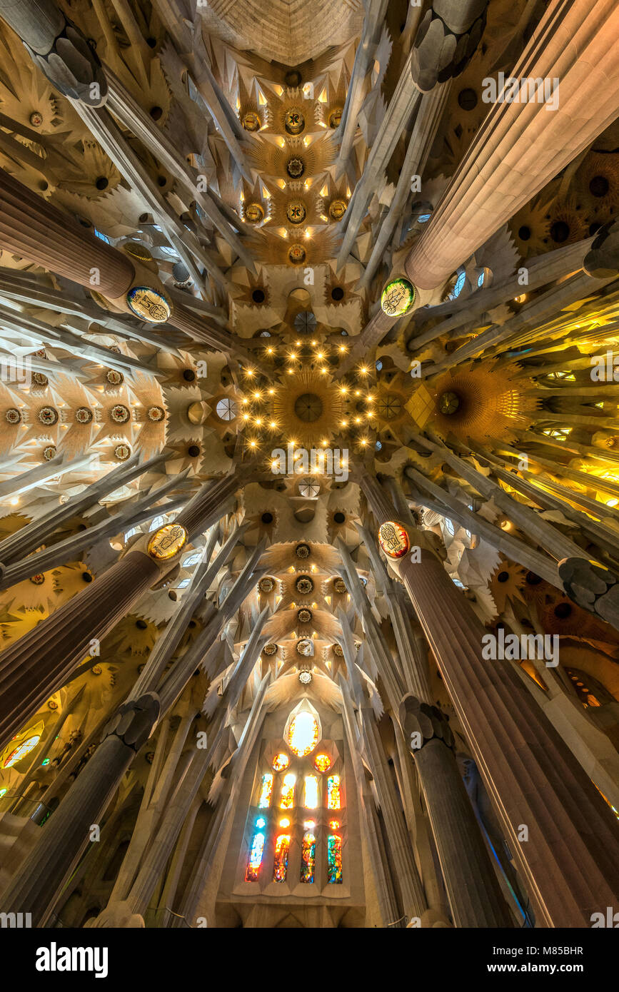 Low Angle View des Dachs im Kirchenschiff, die Sagrada Familia, Barcelona, Katalonien, Spanien Stockfoto