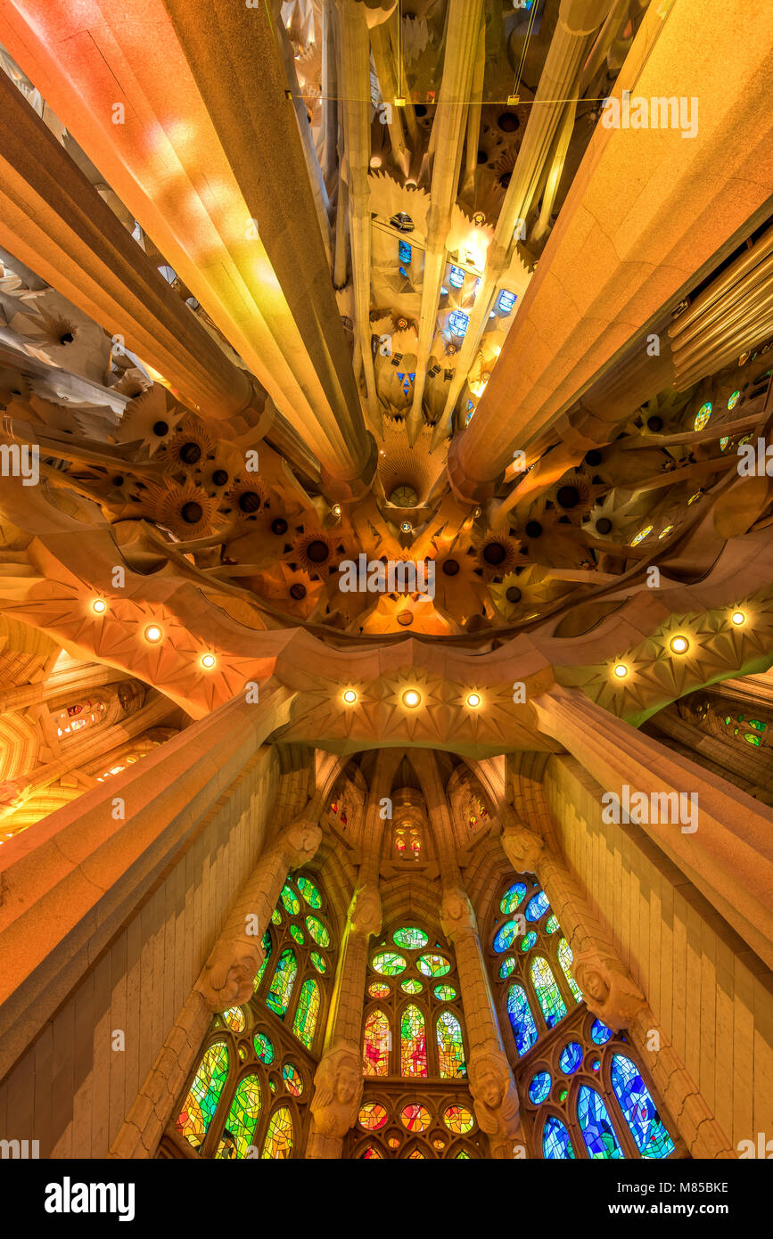 Low Angle View des Dachs im Kirchenschiff, die Sagrada Familia, Barcelona, Katalonien, Spanien Stockfoto