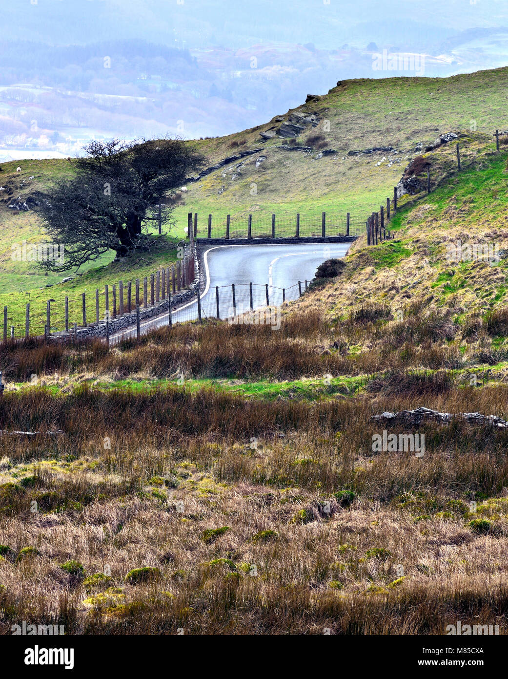 Eine kurvenreiche Straße seziert die hügelige Landschaft des Snowdonia im ländlichen Wales, UK. Stockfoto