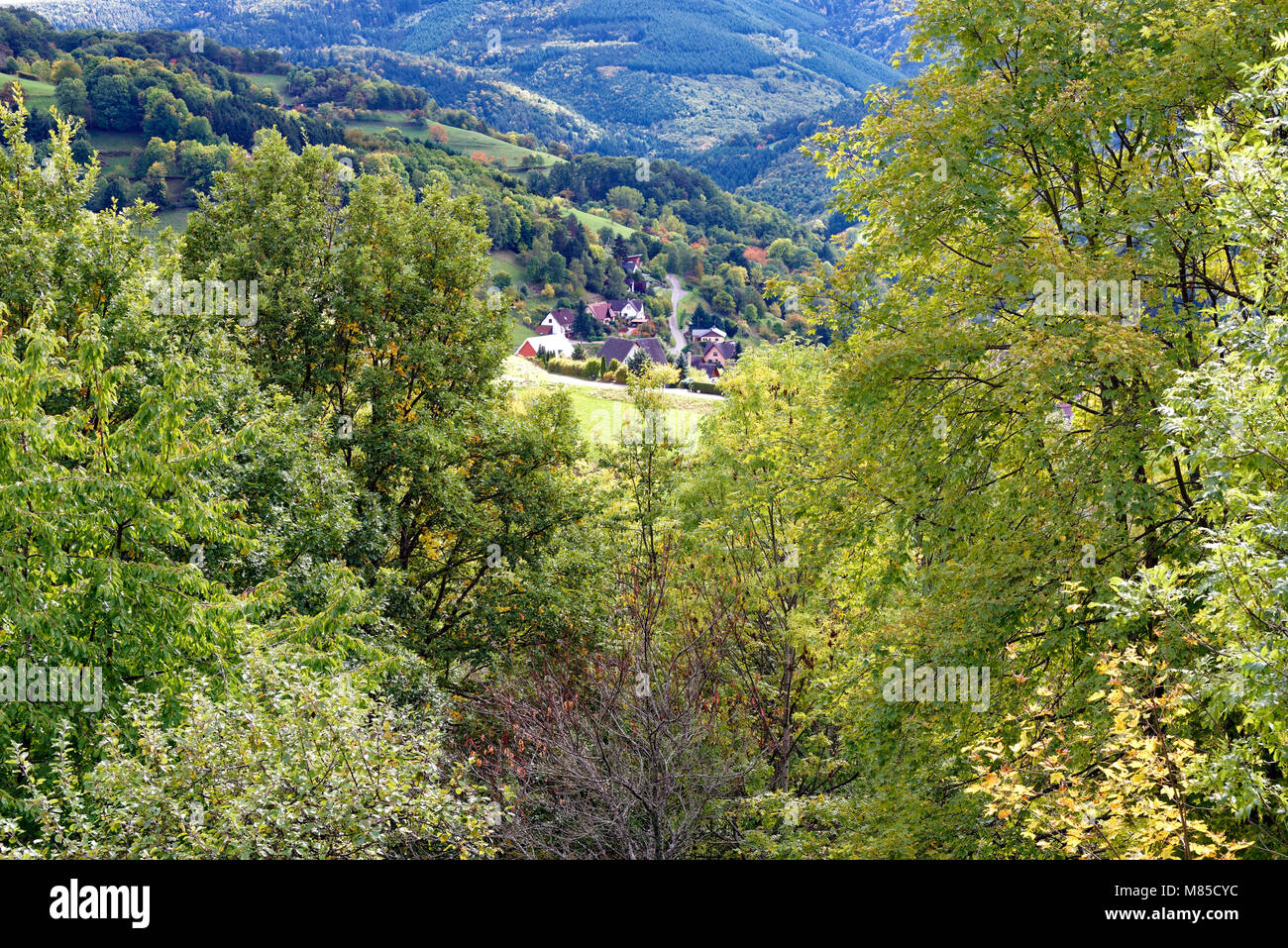 Eine erhöhte Ansicht, im Spätsommer, der belaubten Baum Landschaft in der Nähe von Kaysersberg im Elsass, Frankreich. Stockfoto