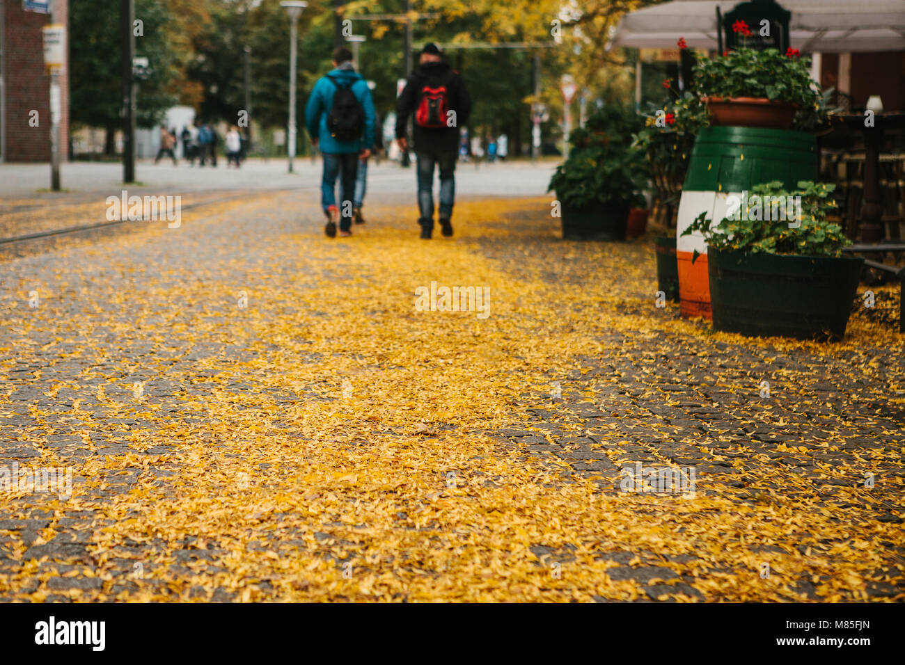 Herbst Stadt Szene. Selektiver Fokus auf gelbe Laub auf der Straße. Menschen gehen neben einem Cafe im Hintergrund Stockfoto
