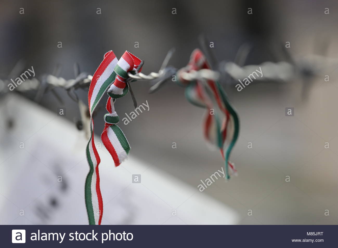 Ungarische Farben hängen an einem Stück Stacheldraht, Teil der Protest an die Deutsche Statue in Budapest. Stockfoto