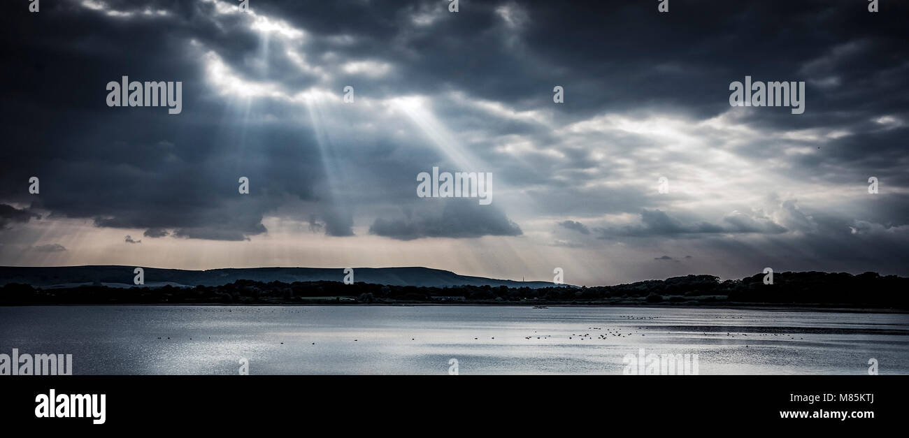 Dramatische Sonnenlicht über den Behälter mit der Tierwelt auf funkenbildenden Wasser Stockfoto