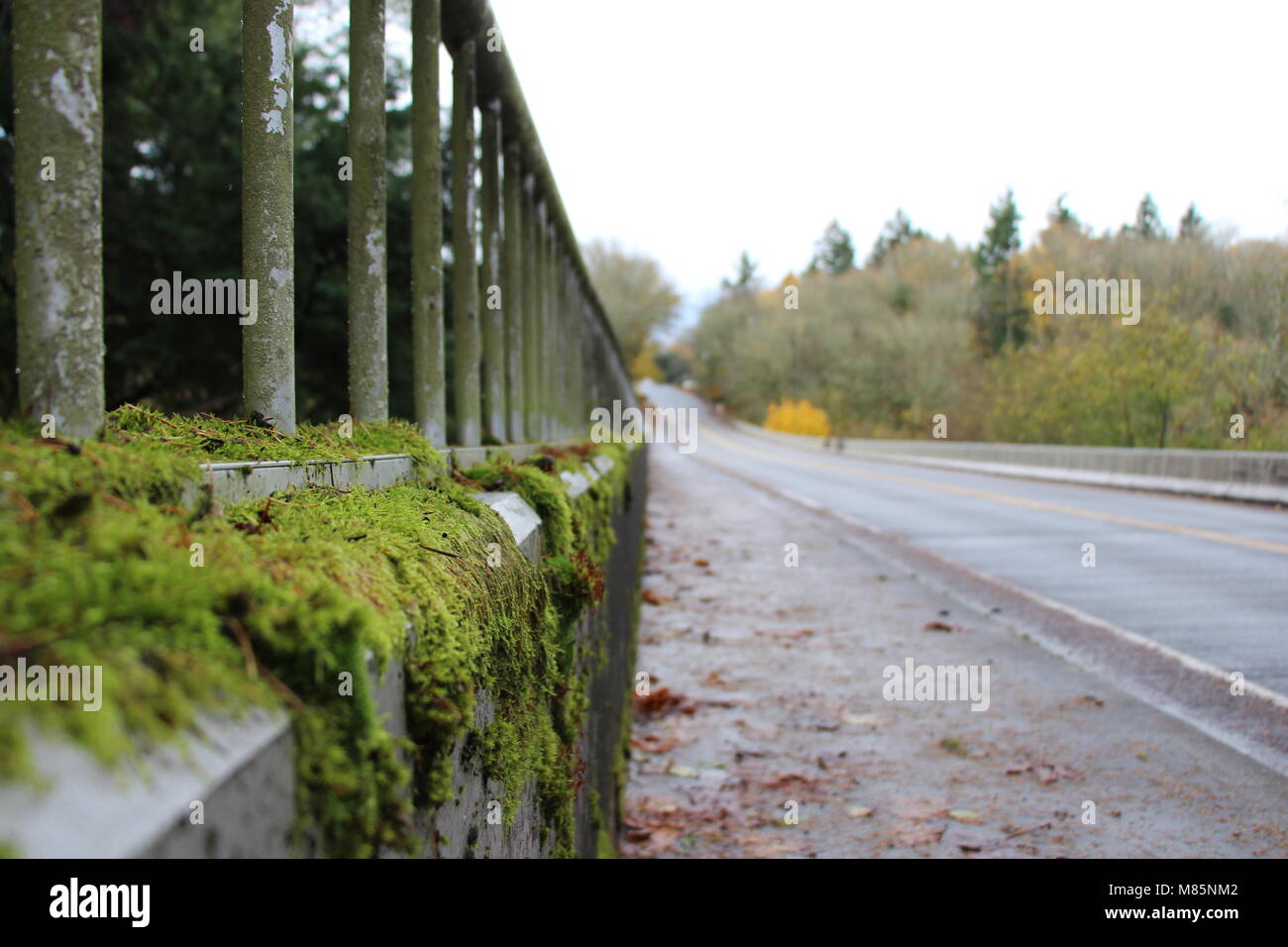 Die Straße weniger reiste. Stockfoto