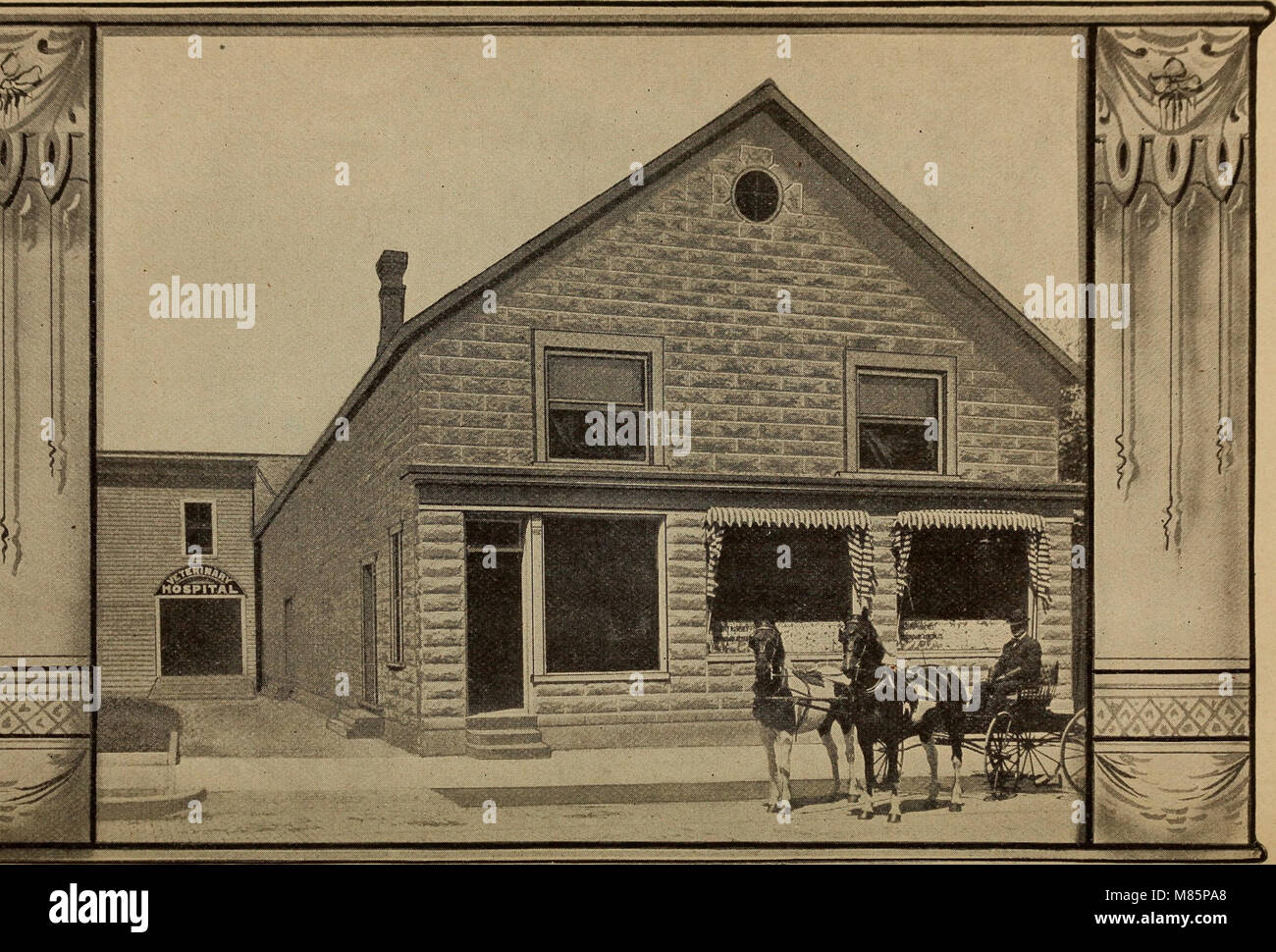 Dr. David Roberts praktische home Tierarzt (1906) (20997078895) Stockfoto