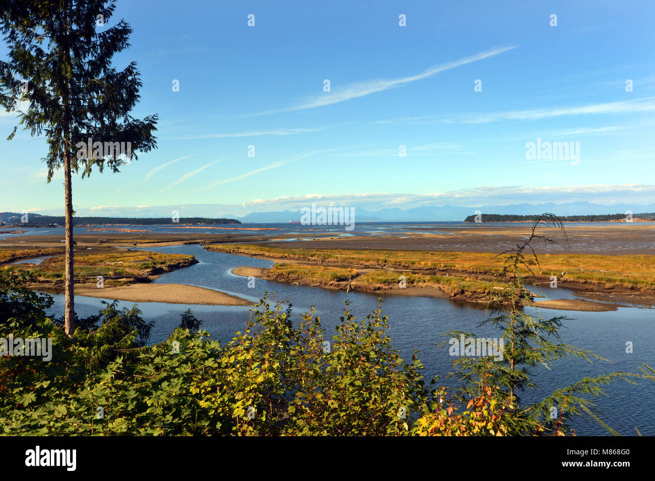 Vancouver Island, British Columbia, Kanada Stockfoto