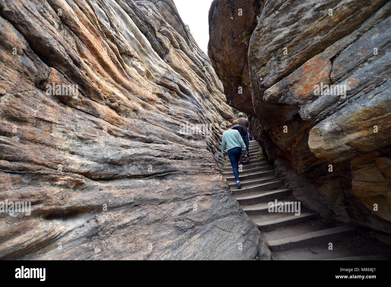 Athabasca Falls in Jasper Park, kanadische Rockies Stockfoto